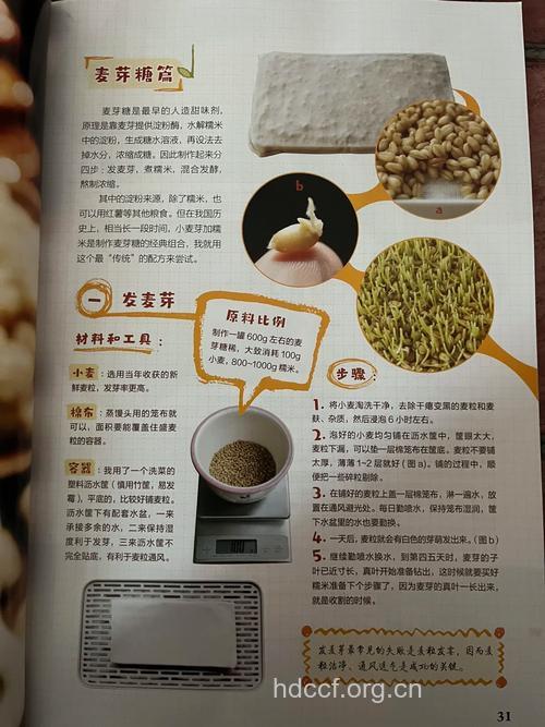 麦芽糖的做法大全