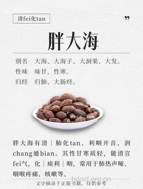 胖大海治疗咽炎有哪些原则