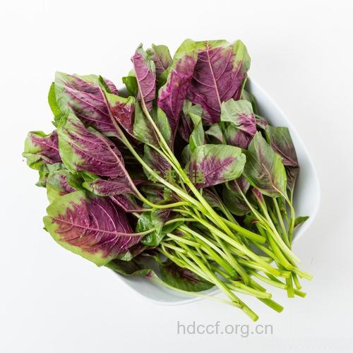 适合心脏病患者食用的蔬菜