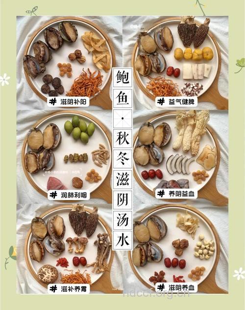 鲍鱼汤的做法