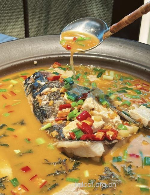 鱼头火锅的做法大全
