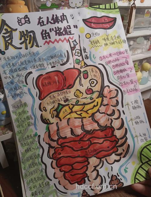 以形补形 形似人体器官的10种食物