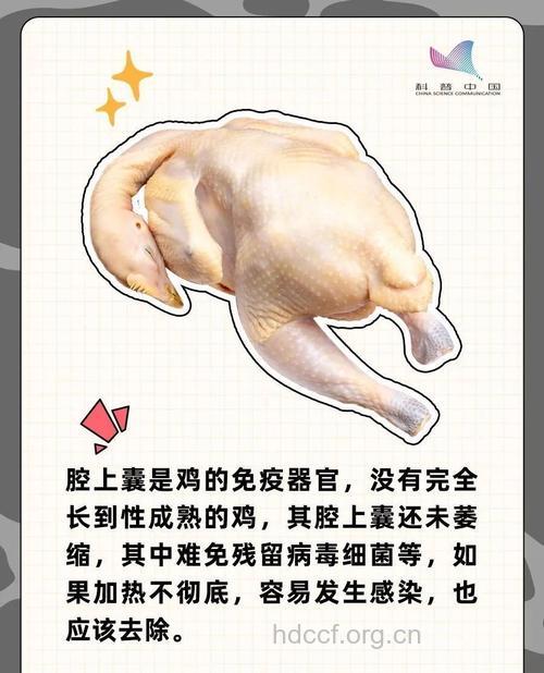 鸡身上哪些部位不能吃