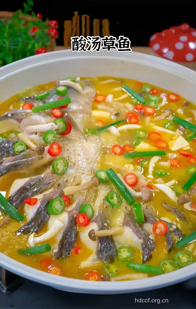 草鱼汤的做法大全