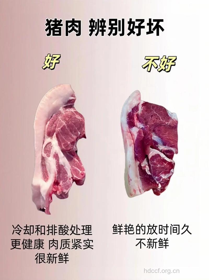 教你如何分辨三种肉类质量