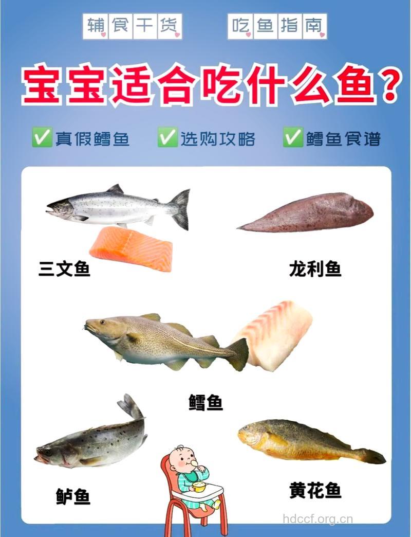 幼儿多吃深海鱼促进智力发育