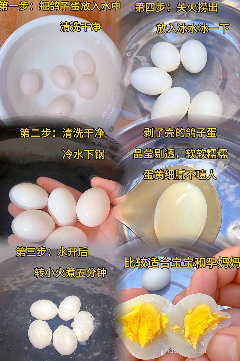 鸽蛋益智汤怎么做