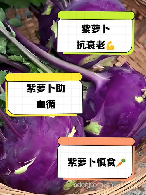 抗衰老最有效的7大紫色食物