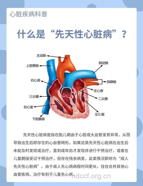 5种治疗效果很好的先天性心脏病