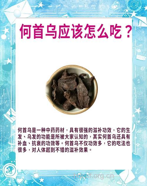何首乌的吃法大全
