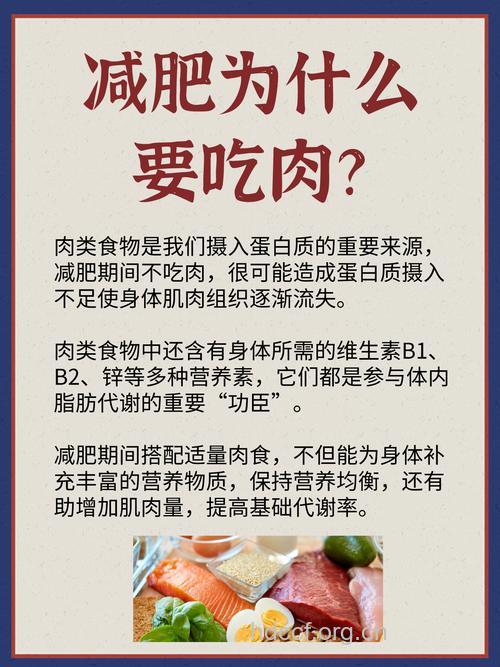 减肥更该吃肉 6类人特别需要吃肉
