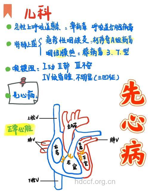 先天性心脏病的病因及机制