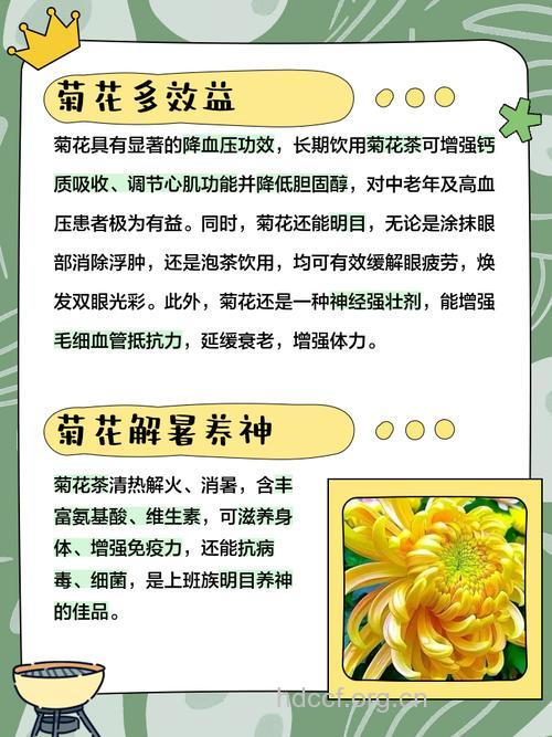菊花怎样做也能养生