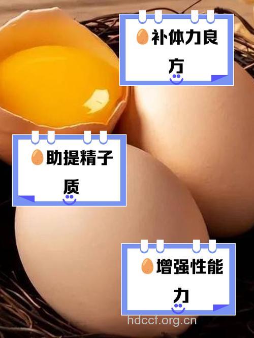 新婚夫妇吃鸡蛋可提高精子质量