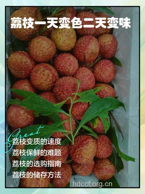 荔枝黄瓜帮你击退暗沉