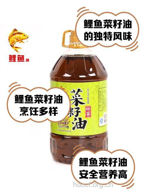 炸鱼选用菜籽油更健康