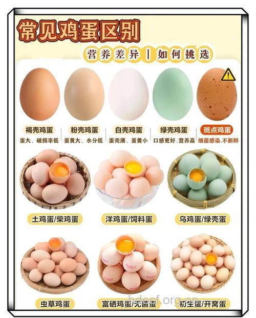 这五种鸡蛋千万不能吃