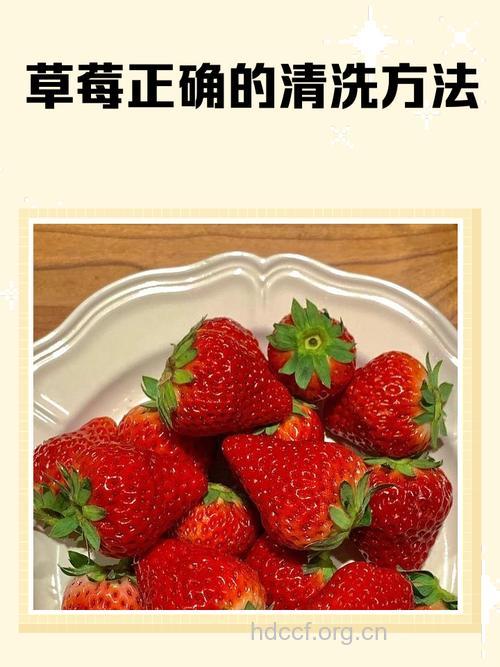 春季草莓的正确清洗法