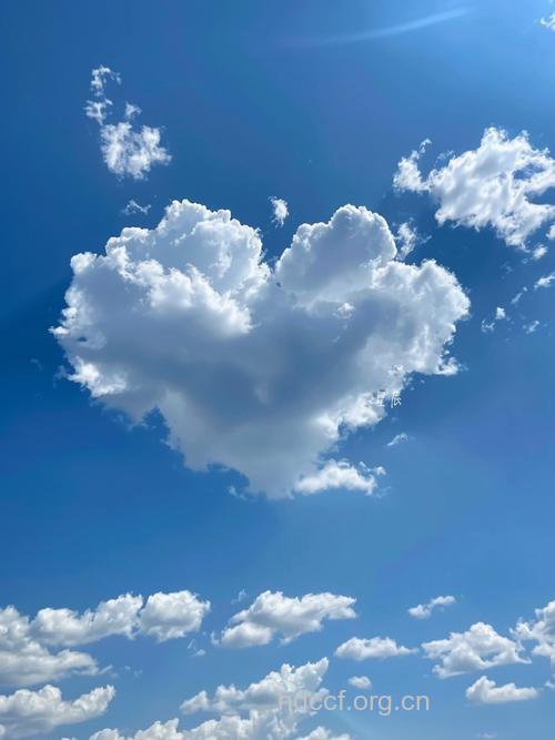 从“心”弥补先心儿的天空