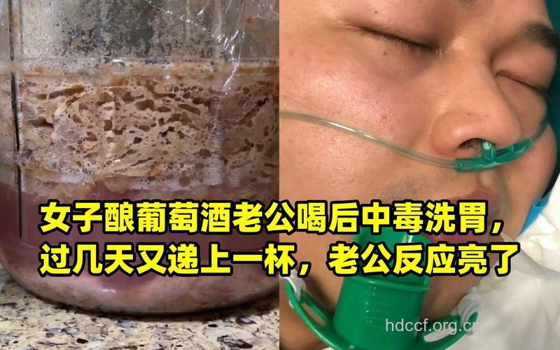 饮用自酿葡萄酒会中毒