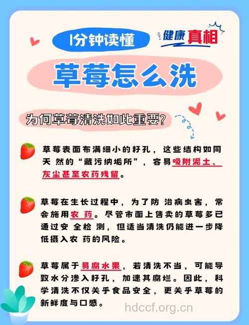 草莓怎么洗才科学卫生？