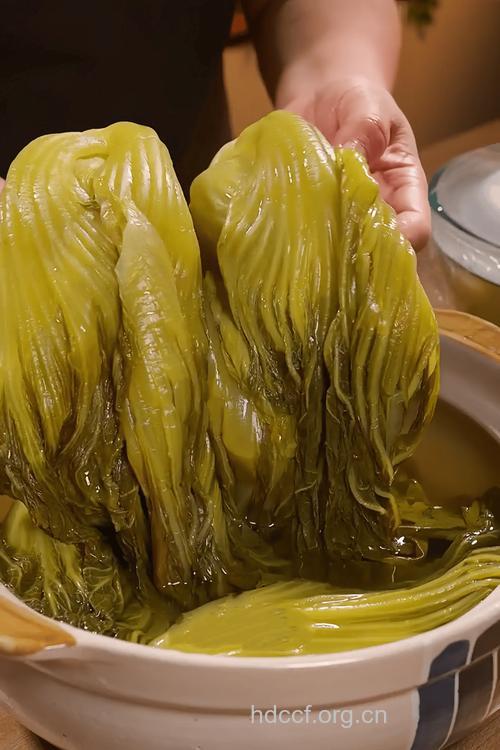 酸菜是哪个地方的菜