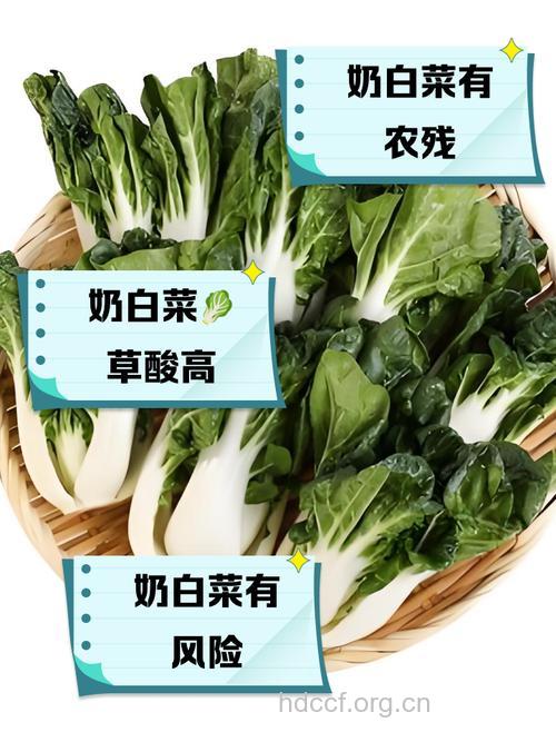 奶油白菜的功效是什么
