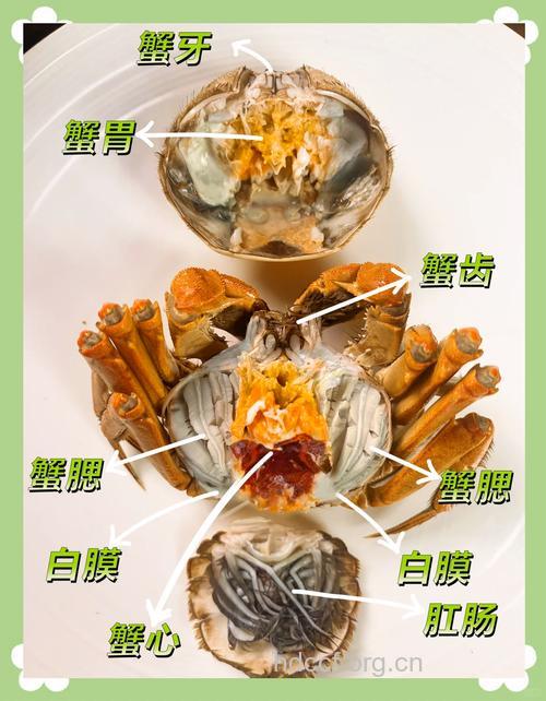 大闸蟹的几种新鲜吃法