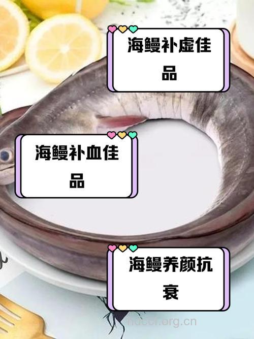 海鳗的营养价值