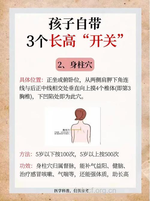 按摩这三个穴位可以增高