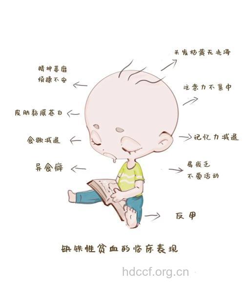 这3个都是宝宝贫血的症状表现