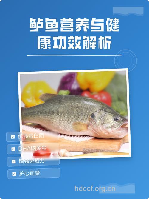 鲈鱼的营养价值
