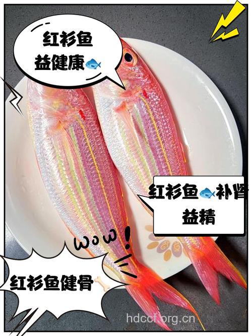 红衫鱼的营养价值