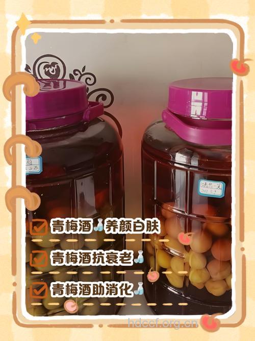 女性常饮青梅酒可延缓衰老