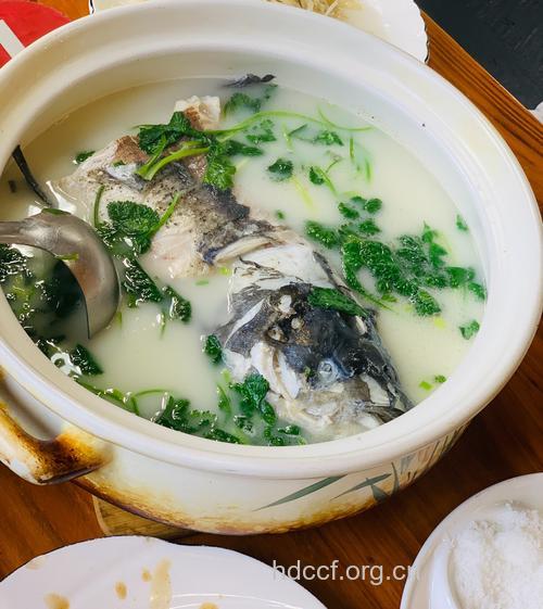 入秋滋补 少喝鱼头汤