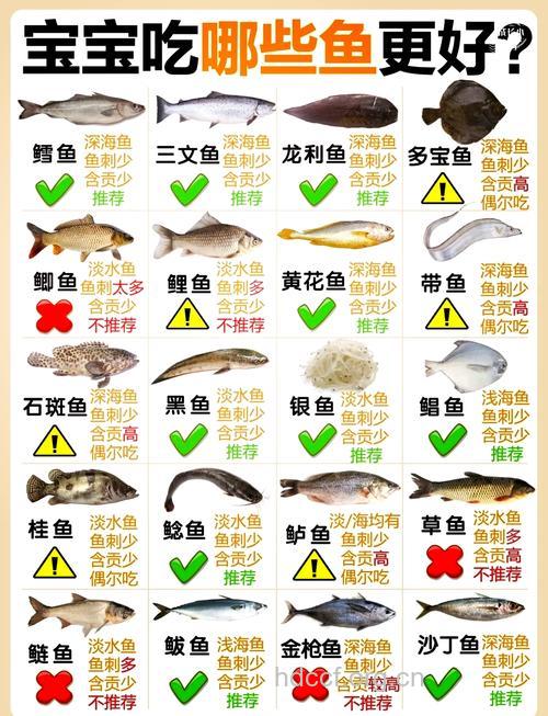 鳕鱼的营养价值