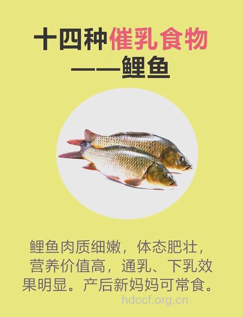鲤鱼的营养价值