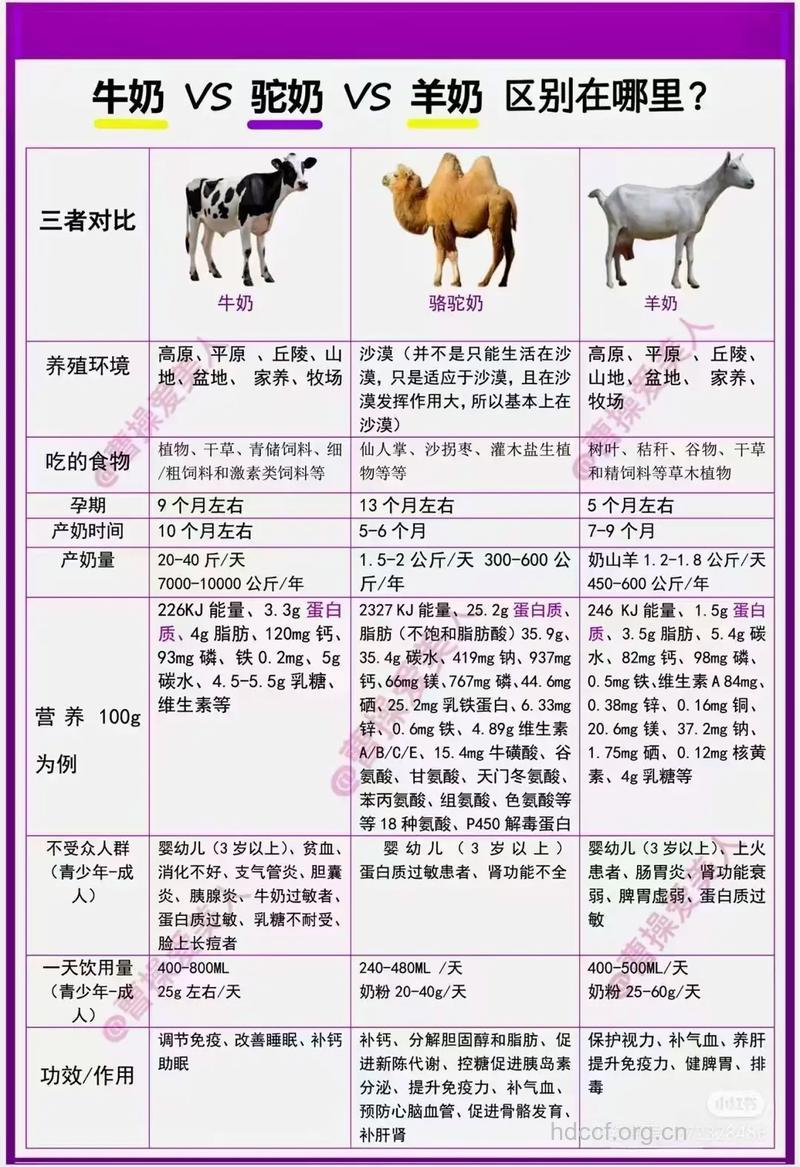 草原的营养价值