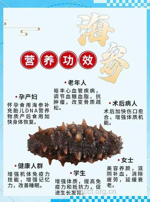海参的营养价值