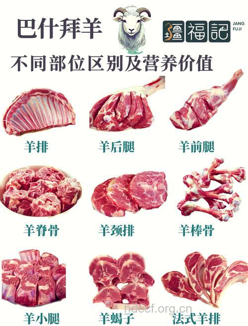 羊骨的营养价值