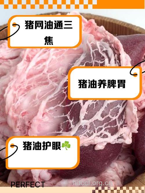 猪网油的营养价值