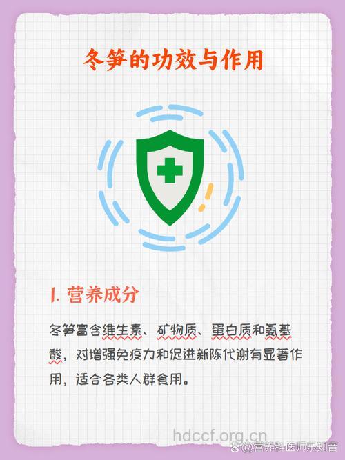 冬笋的营养价值