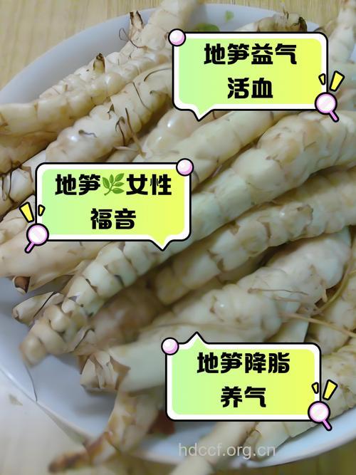地笋的营养价值