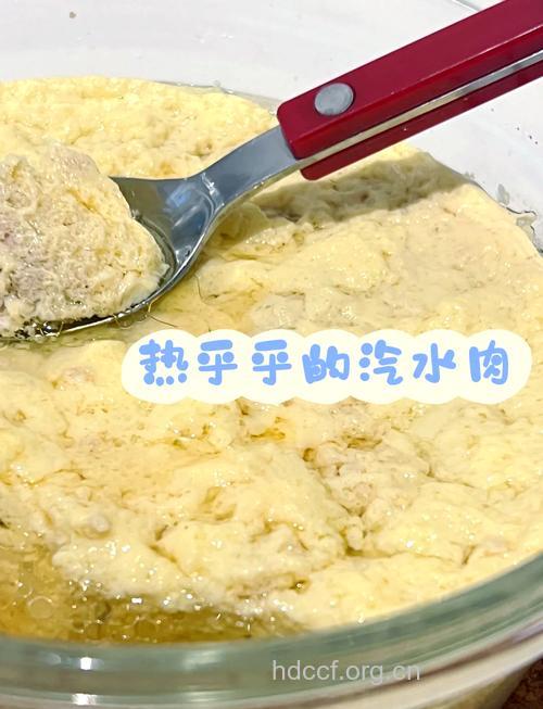 鲜嫩汽水肉的做法大全