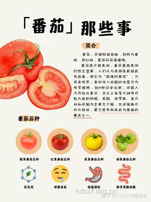 番茄的营养价值
