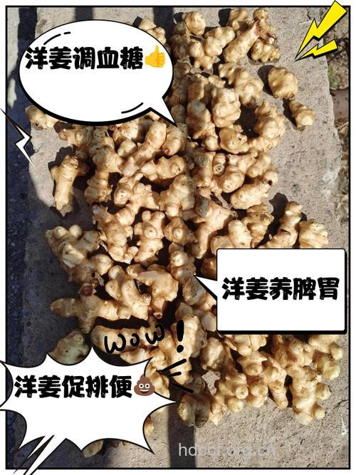 洋姜的营养价值