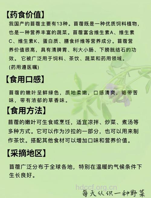 苜蓿的营养价值