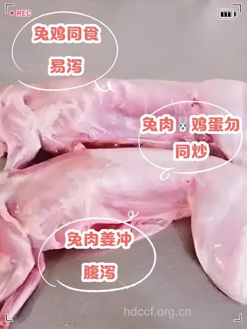 与兔肉相克的食物