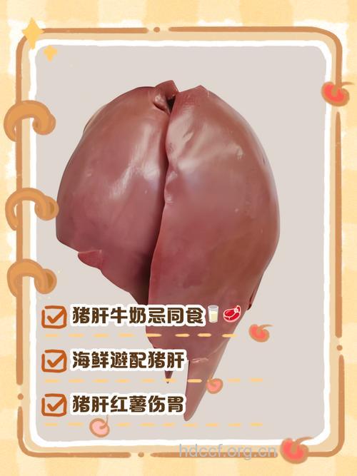 猪肝不能和什么同吃