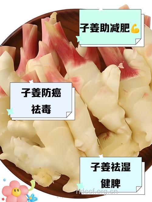子姜的营养价值